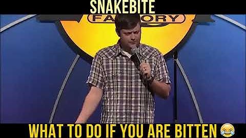 What to do if you are bitten Nate Bargatze   Science