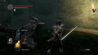 (Dark Souls) How to beat Havel with parry and backstabs