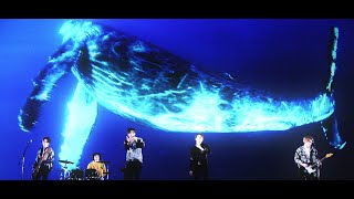 Video voorbeeld van "N.Flying -「Amnesia」Music Video"