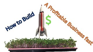 How to Build a Profitable Business Fast
