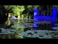 The Gardener's Garden: Jardin Majorelle