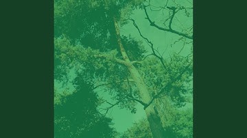 Pulsating Moods for Tranquil Sundays