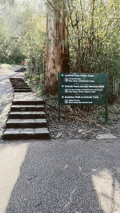 1000 Steps Dandenong Ranges Melbourne Melbourne YouTube 1000-steps-dandenong-ranges-melbourne-melbourne-youtube