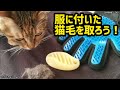 【猫毛取り】ペット用シリコンブラシで服に付いた猫の毛を取ってみました。《やってみよう！  No.5》