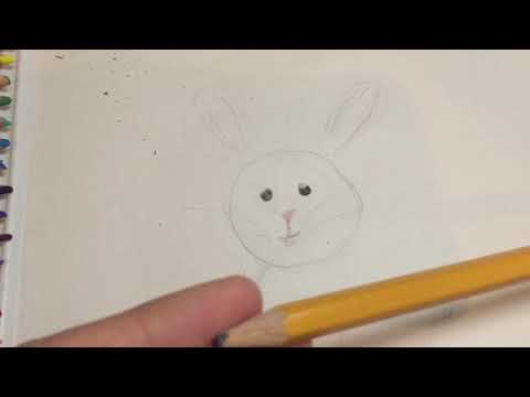 Video: Ako Nakresliť Králika