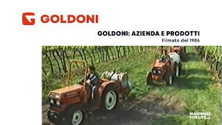 Goldoni Storico 1986