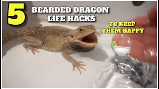 5 Bearded Dragon Life Hacks That Will Help You Keep Your Dragon Happy!
