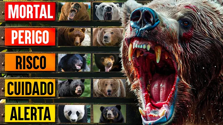 Os ursos mais mortais do mundo