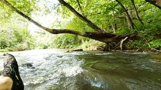 Cartecay River Experience Extreme Tubing Ellijay Georgia
