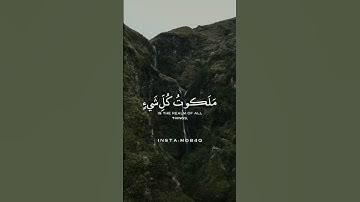 #سورة_يس بصوت #القارئ_طارق_محمد|#صلوا_على_النبي|