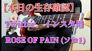 🌹 【今日の生存確認】X JAPAN / ROSE OF PAIN ギターソロ１ 『弾いてみた』 カメラ直撮り HIDE PATA (Twitter、インスタ用)