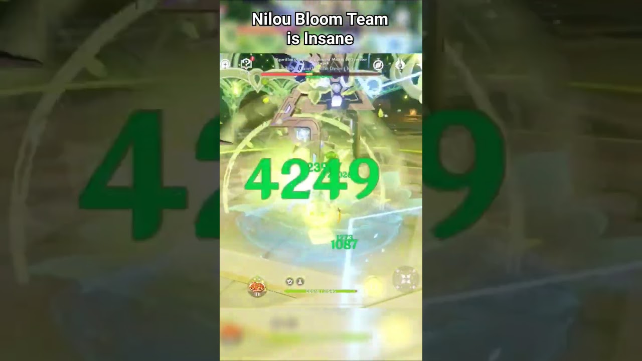 NILOU BLOOM TEAM IS INSANE.