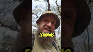 It was trapped down a mine shaft and I tried to help #spicey #rescue #snake #animal #mineshaft #help