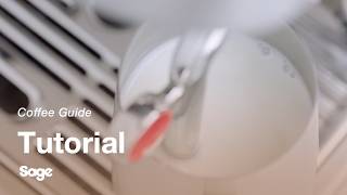 Auto MilQ Hands-free Milk Texturing