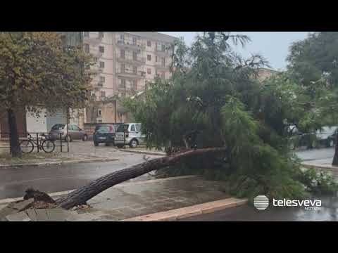 Video Ondata di maltempo in Puglia: disagi ovunque tra allagamenti, strade impercorribili e alberi caduti