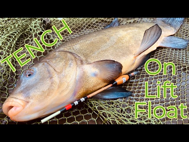 TENCH Fishing using handcrafted (BeeMouse fishing) LIFT FLOATS 