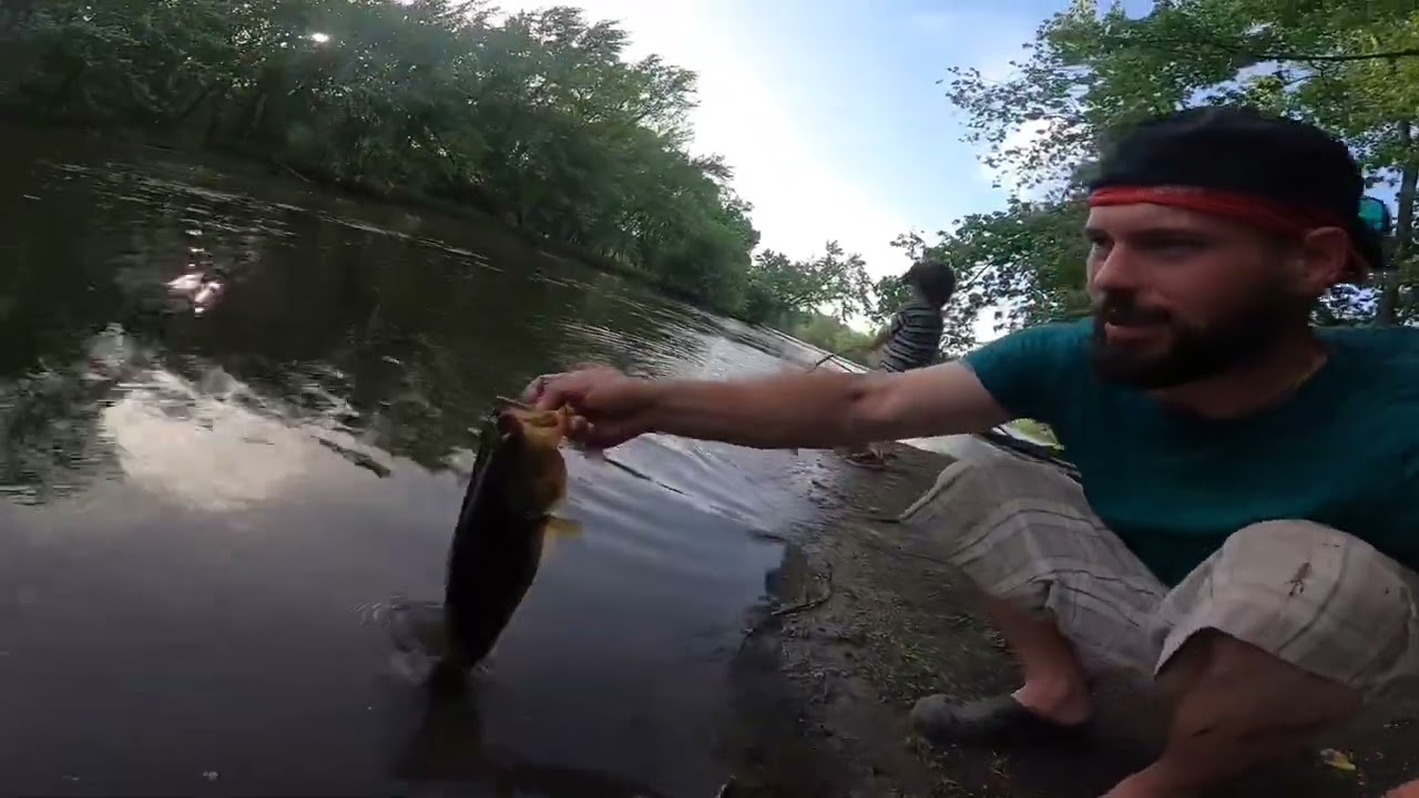 Skokie lagoons || Managing Bass Sanity and Kids | Frog Fishing tips From a Cook county Froggn Guru