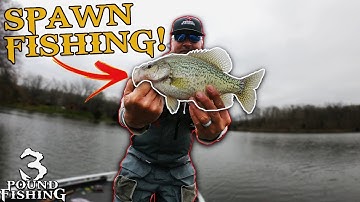 Crappie Spawn How to Start everyday