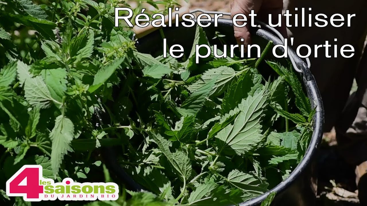 Réaliser et utiliser un purin d'ortie - Le conseil des 4 Saisons du