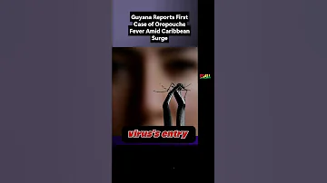 Guyana Reports First Case Of Oropouche Fever Amid Caribbean Surge 