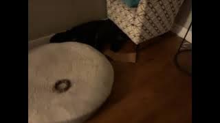 78495050075  4C767463 E0F3 432D A682 5E8C3F28DFB2