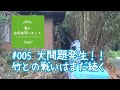 #005 【妻が古民家DIY】大問題発生！！竹との戦いはまだ続く
