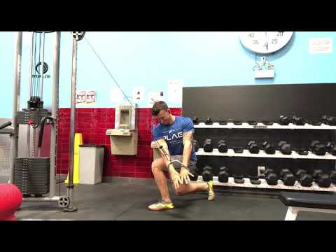 Reverse Lunge w/Contralateral Cable Chop