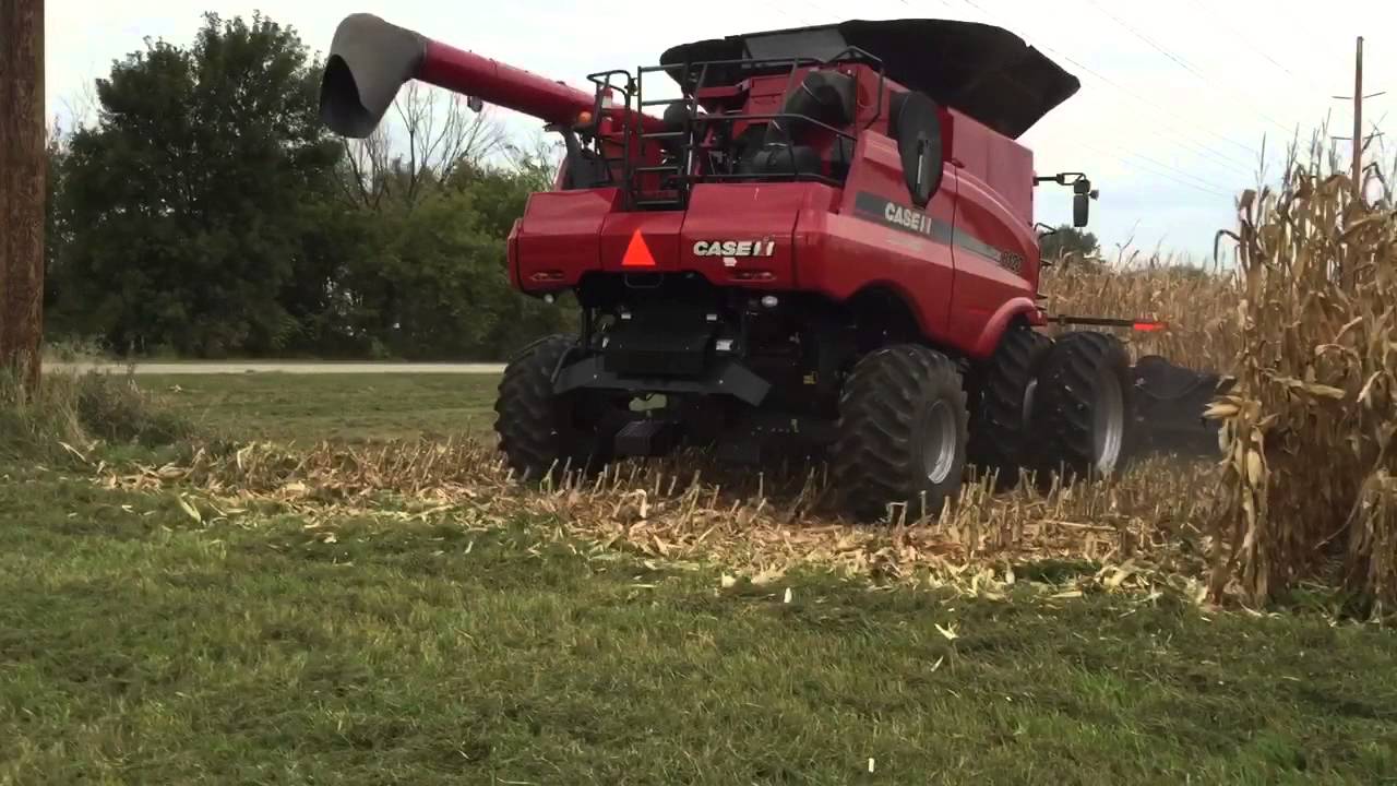 2015 Capello 1230f chopping corn head! Ballard Farms Inc. YouTube