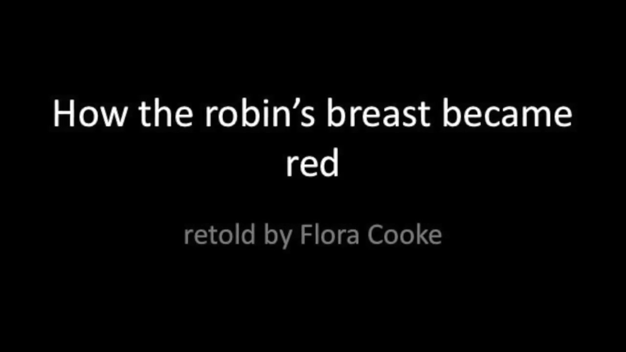 How the robin's red breast became red