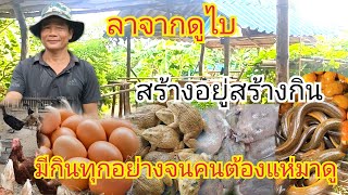 ลาจากชีวิตในต่างแดน กลับมาสร้างอยู่สร้างกิน มีกินทุกอย่าง จนคนต้องแห่มาดู