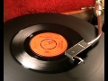 The rockin vickers  i dont need your kind  1966 45rpm