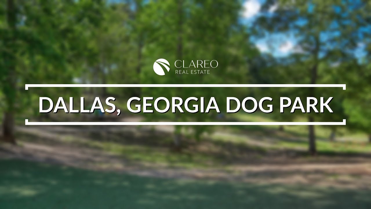 Dallas, Dog Park A Fun and Destination for You and Your Furry Friend YouTube