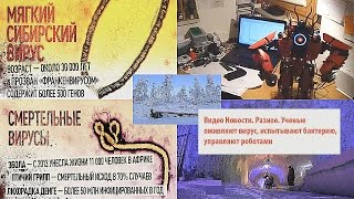 Видео Новости. Разное. Ученые оживляют вирус, испытывают бактерию, управляют роботами Видео Новости. Разное. Ученые оживляют вирус, испытывают бактерию, управляют роботами