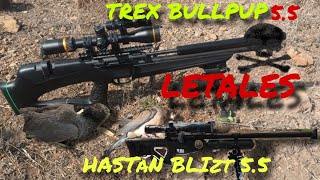 CALANDO RIFLES PCP TREX BULLPOO Y HASTAN BLIZT SEMI AUTOMATICO... PALOMAS Y GALLARETA