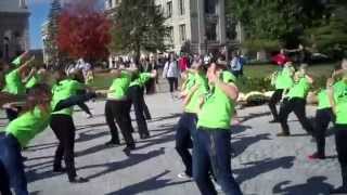 UIDM 19 | Flashmob