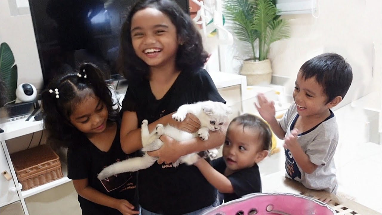 Reaction anak2 bila dapat kucing,maaf syg hadiah lambat...