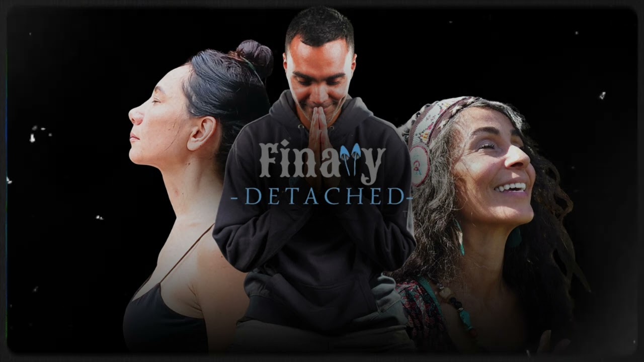 Finally Detached  - They Want You NUMB