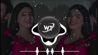 Ae Dil Tere te kyon aaya  New song 2025(New TikTok Tranding Song)(Ali Raza👑)(Pungabi Song)