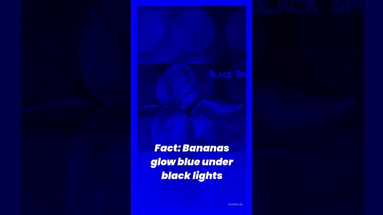 Bananas glow blue under black lights YouTube
