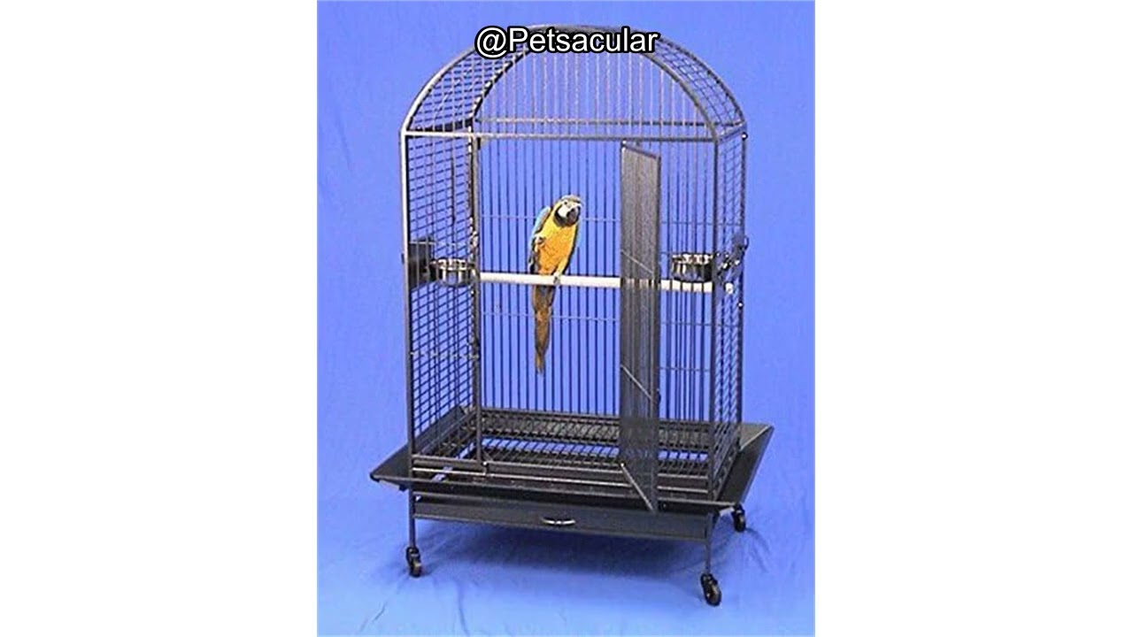 XX Large DomeTop Wrought Iron Bird Parrot Cage Review: Is It Worth Your Money?