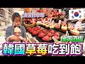 韓國 兩個人要價20萬 的 &quot;超高級草莓自助餐&quot;  ...居然給出這個菜色?! 韓國草莓給你吃到飽是什麼體驗?!