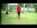Trained Dogs For sale Family Protection Dogs for sale - Personal protection dogs Trained Dogs For sale Family Protection Dogs for sale - Personal protection dogs