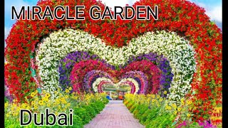 MIRACLE GARDEN DUBAI || REOPENS FOR (2023-2024)|| 12th SEASON #dubai