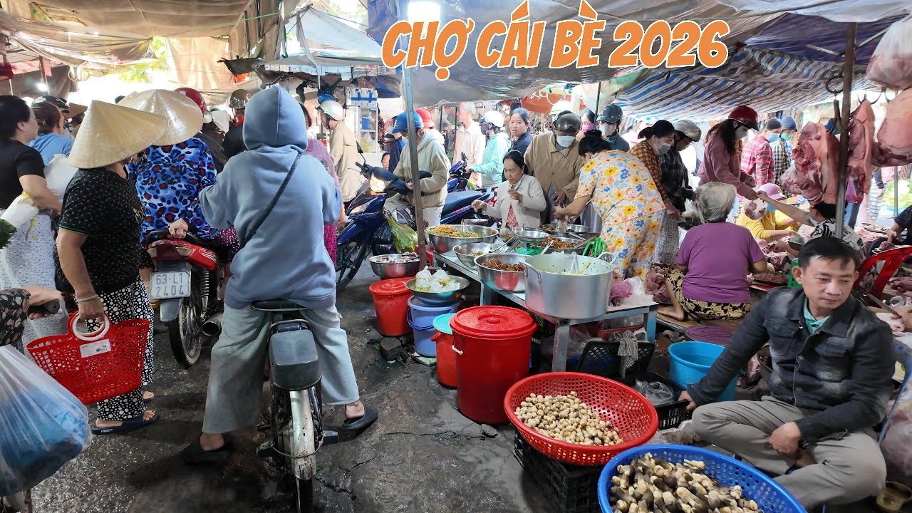 Đầu năm 2026, chợ Cái Bè (Đồng Tháp) đông nghịt, bất ngờ gặp “cụ rùa” 10 năm tuổi