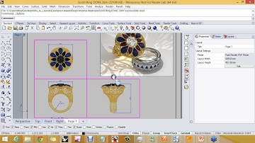 22 Configuring A Layout for a 3 D Ring Metric Model