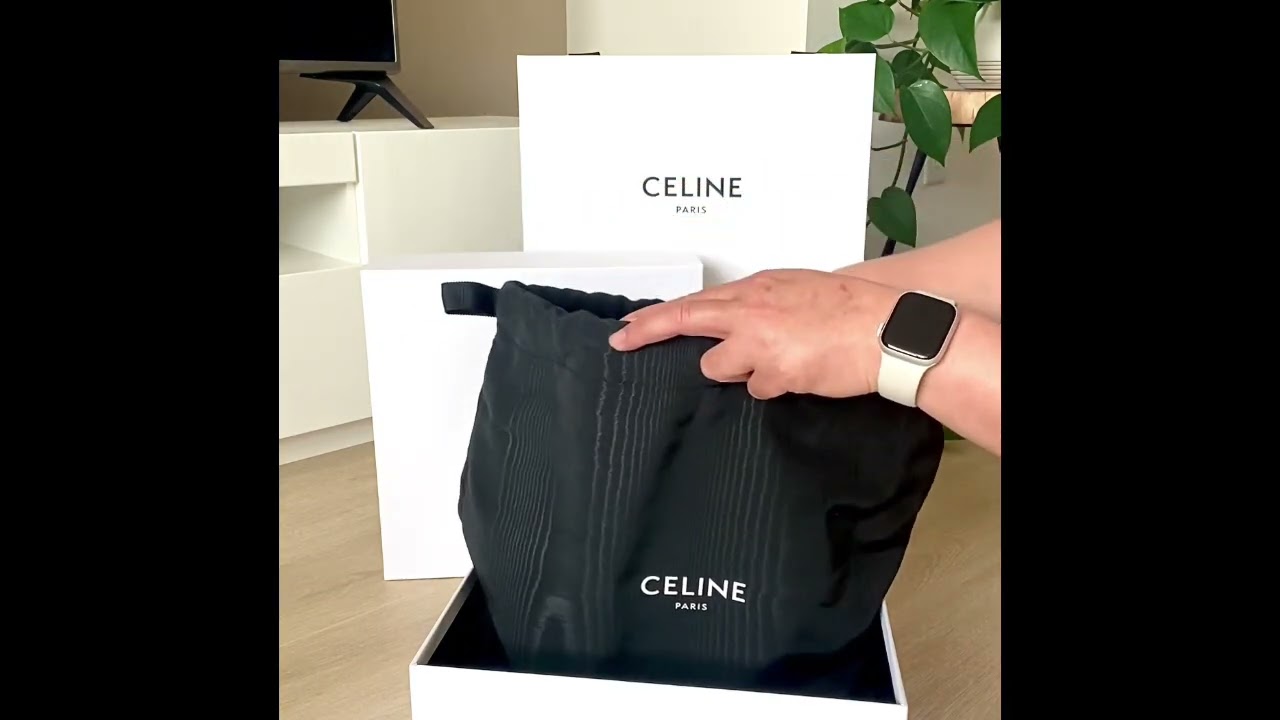 Celine Pico Belt Bag - Size Comparison & Try On - whatveewore