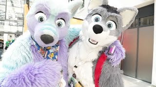 'Furry' enthusiasts gather for Eurofurence convention