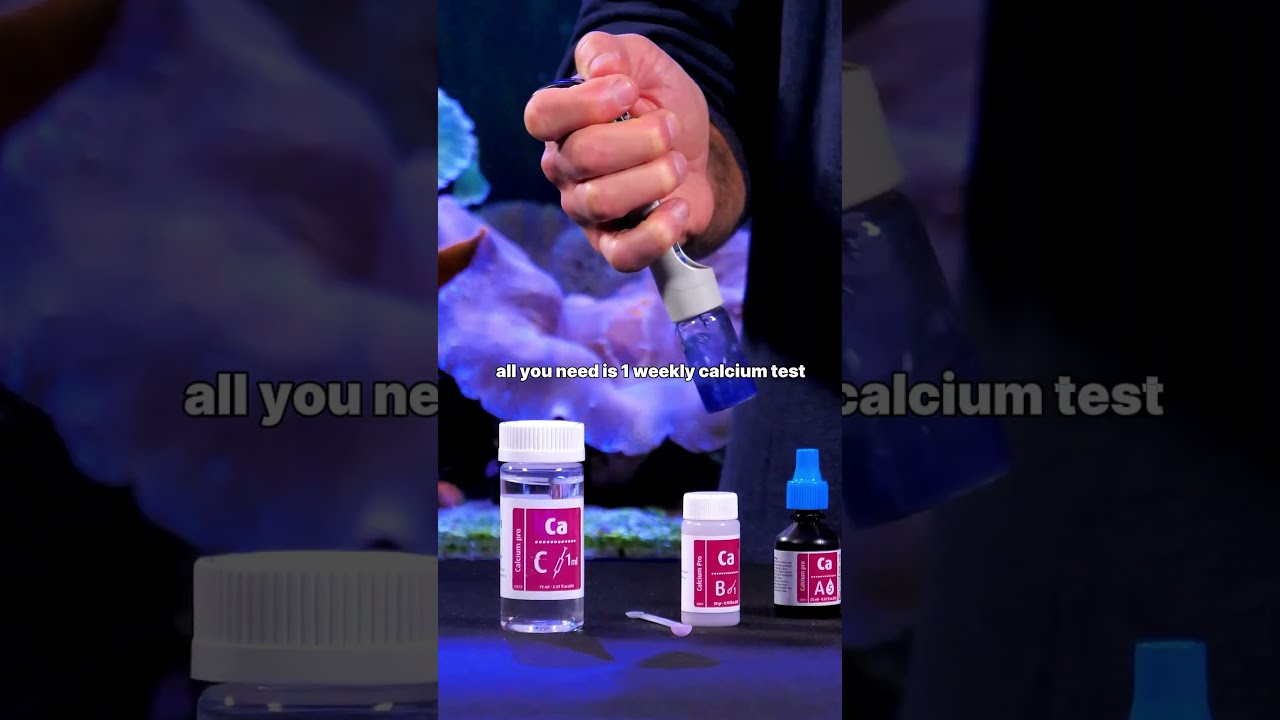 Unleash the power of the ReefDose 4 and experience simplified dosing!