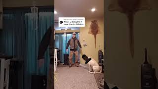 #dog #humor #goldenretriever #labrador #funny #pitbull