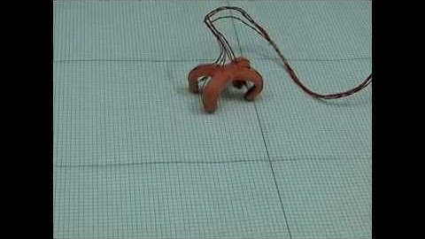 Locomotion and Gait Analysis of Multi-Limb Soft Robots